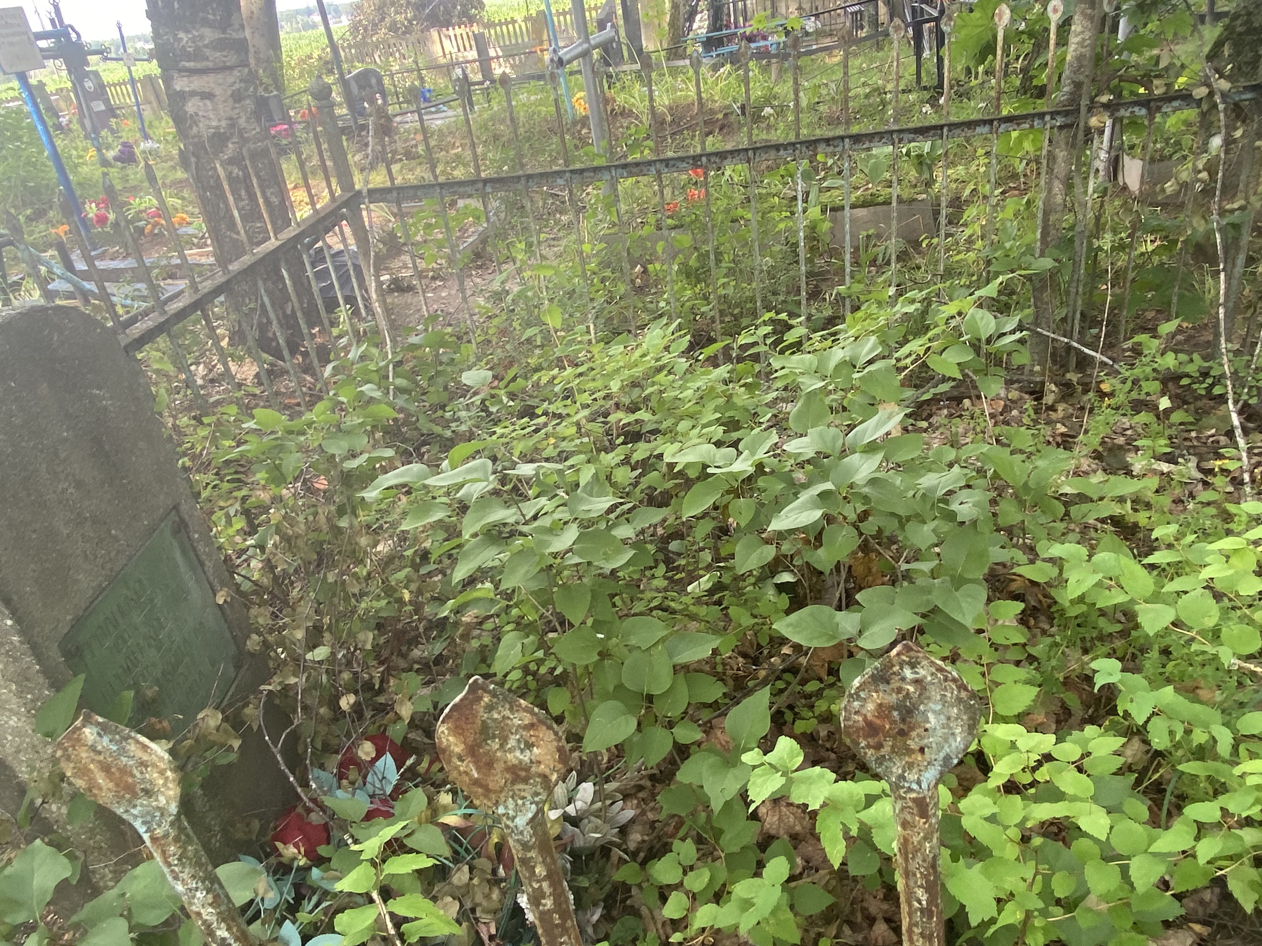 Фотография надгробия